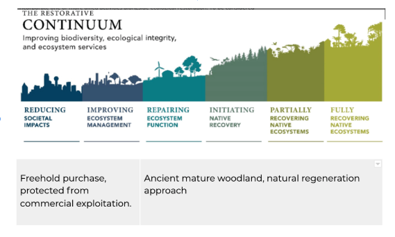 The Restorative Continuum