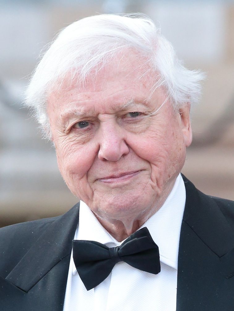 Sir Davis