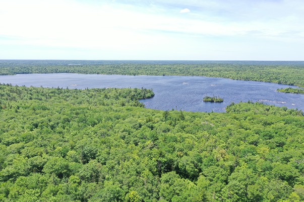 Zone 1 - Aerial view of Spruce Hemlock Forest