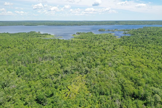 Zone 4 - Aerial view of Wetland