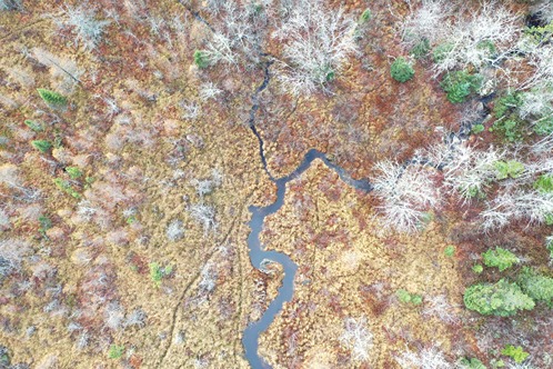 Zone 4 - Aerial view of wetland