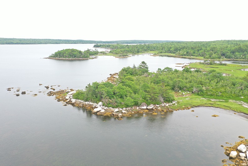Zone 5 - Aerial view of Intertidal Zone