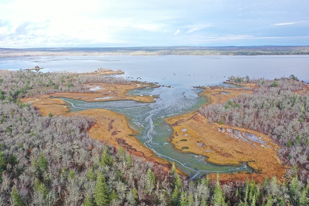 Zone 5 - Aerial view of Intertidal Zone